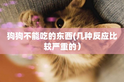 狗狗不能吃的東西(幾種反應比較嚴重的）