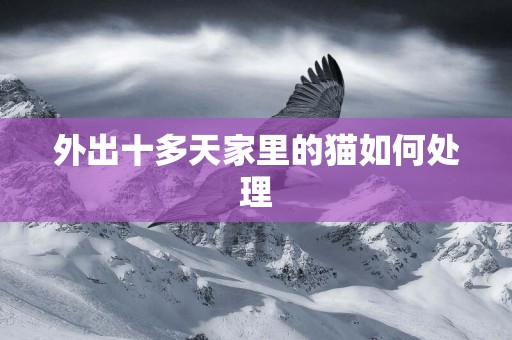 外出十多天家里的貓如何處理