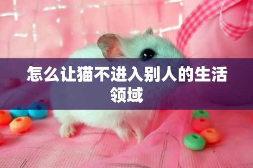 怎么讓貓不進入別人的生活領域