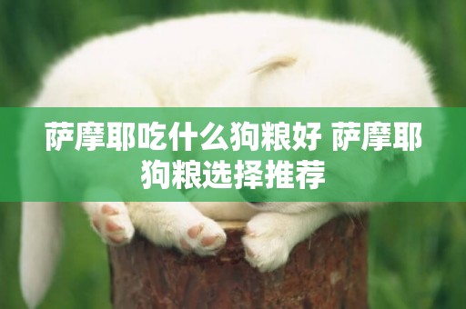 薩摩耶吃什么狗糧好 薩摩耶狗糧選擇推薦