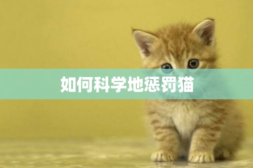如何科學地懲罰貓