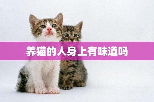 養貓的人身上有味道嗎