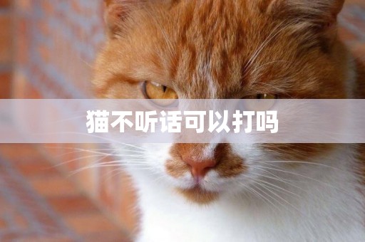 貓不聽話可以打嗎