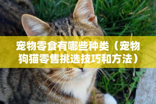 寵物零食有哪些種類（寵物狗貓零售挑選技巧和方法）