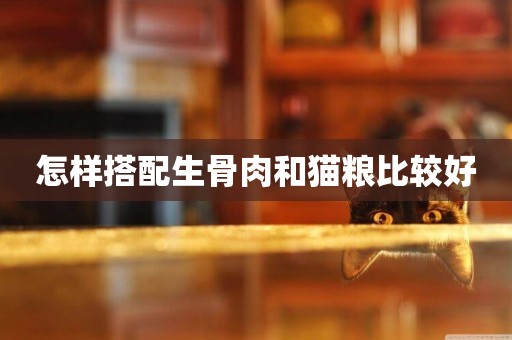 怎樣搭配生骨肉和貓糧比較好