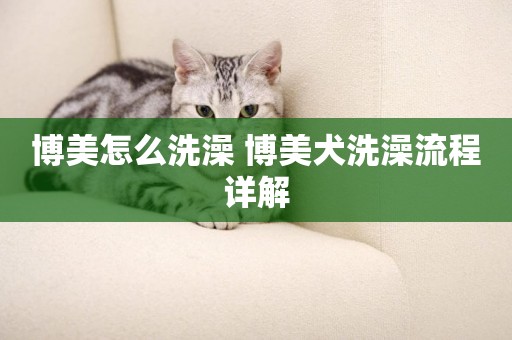 博美怎么洗澡 博美犬洗澡流程詳解
