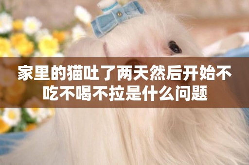 家里的貓吐了兩天然后開始不吃不喝不拉是什么問題