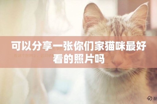 可以分享一張你們家貓咪最好看的照片嗎