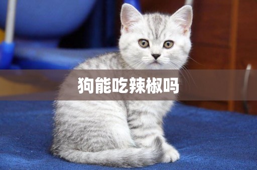 狗能吃辣椒嗎