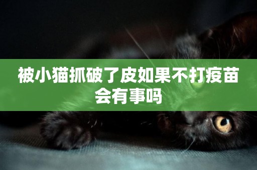 被小貓抓破了皮如果不打疫苗會有事嗎