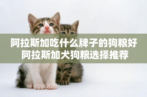 阿拉斯加吃什么牌子的狗糧好 阿拉斯加犬狗糧選擇推薦