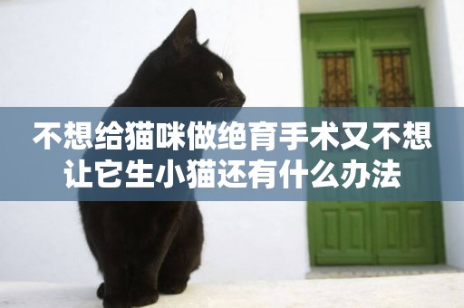不想給貓咪做絕育手術又不想讓它生小貓還有什么辦法