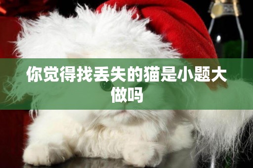 你覺得找丟失的貓是小題大做嗎