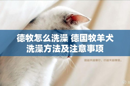 德牧怎么洗澡 德國牧羊犬洗澡方法及注意事項