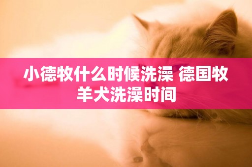 小德牧什么時候洗澡 德國牧羊犬洗澡時間