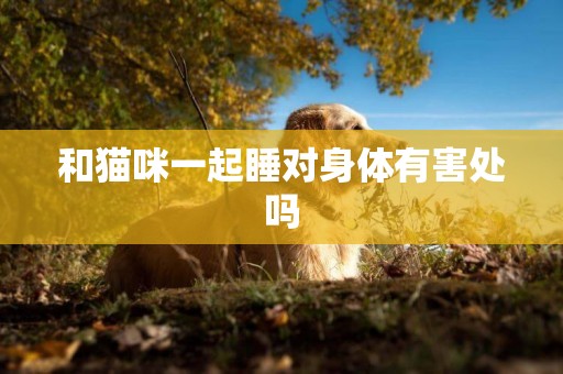 和貓咪一起睡對身體有害處嗎