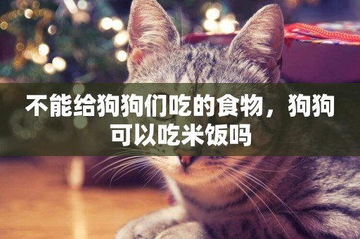 不能給狗狗們吃的食物，狗狗可以吃米飯嗎