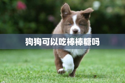 狗狗可以吃棒棒糖嗎