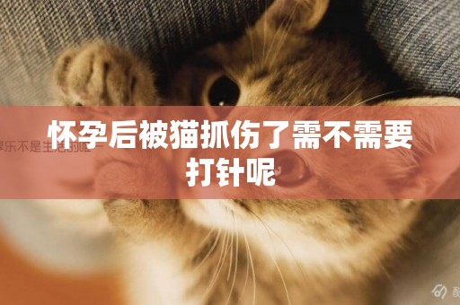 懷孕后被貓抓傷了需不需要打針呢