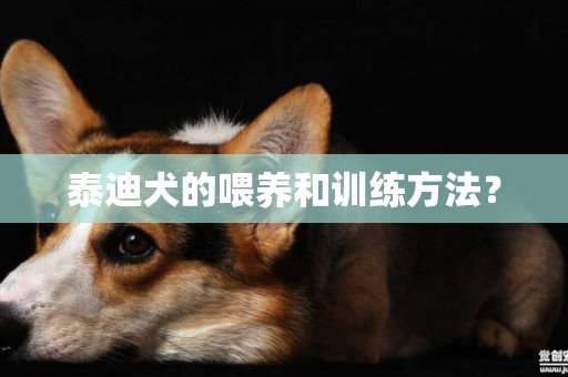 泰迪犬的喂養和訓練方法？