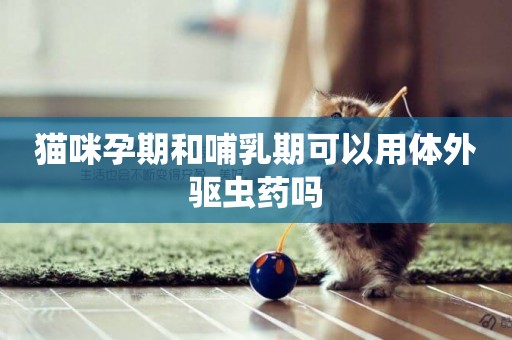 貓咪孕期和哺乳期可以用體外驅蟲藥嗎