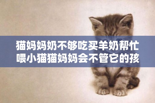 貓媽媽奶不夠吃買羊奶幫忙喂小貓貓媽媽會不管它的孩子們嗎