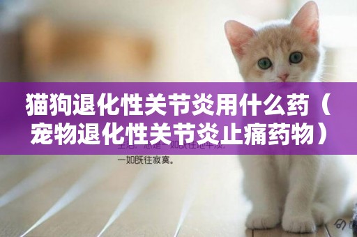 貓狗退化性關節炎用什么藥（寵物退化性關節炎止痛藥物）