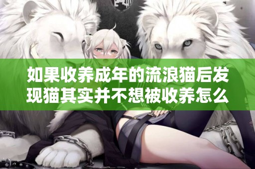 如果收養成年的流浪貓后發現貓其實并不想被收養怎么辦