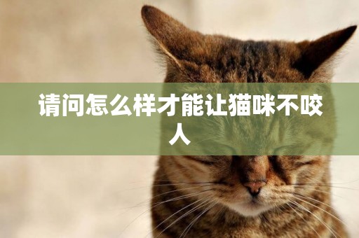 請問怎么樣才能讓貓咪不咬人