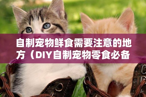 自制寵物鮮食需要注意的地方（DIY自制寵物零食必備知識）
