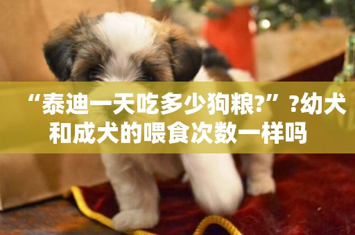 “泰迪一天吃多少狗糧?”?幼犬和成犬的喂食次數一樣嗎