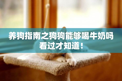 養狗指南之狗狗能夠喝牛奶嗎看過才知道！
