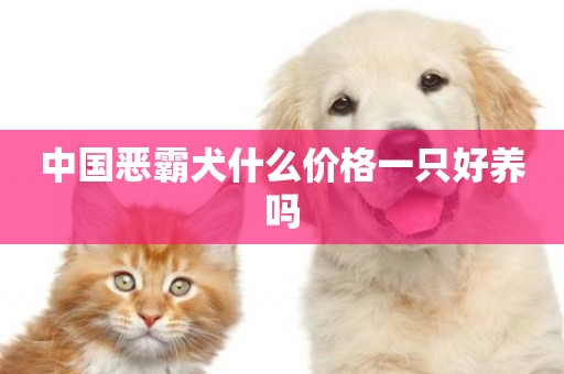 中國惡霸犬什么價格一只好養嗎