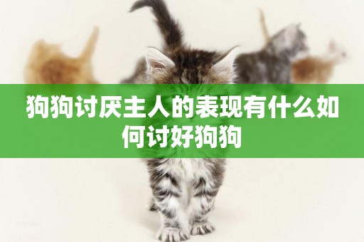 狗狗討厭主人的表現有什么如何討好狗狗