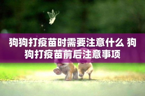 狗狗打疫苗時需要注意什么 狗狗打疫苗前后注意事項