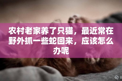 農村老家養了只貓，最近常在野外抓一些蛇回來，應該怎么辦呢