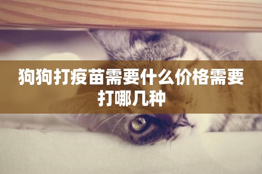 狗狗打疫苗需要什么價格需要打哪幾種