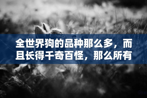 全世界狗的品種那么多，而且長得千奇百怪，那么所有狗的共同特征