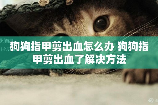 狗狗指甲剪出血怎么辦 狗狗指甲剪出血了解決方法