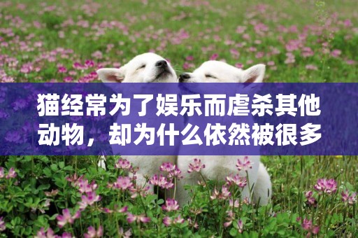 貓經常為了娛樂而虐殺其他動物，卻為什么依然被很多人寵愛