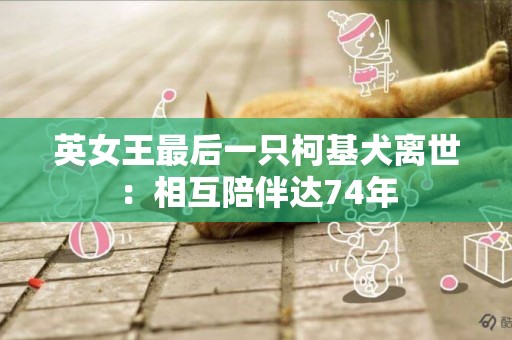 英女王最后一只柯基犬離世：相互陪伴達74年