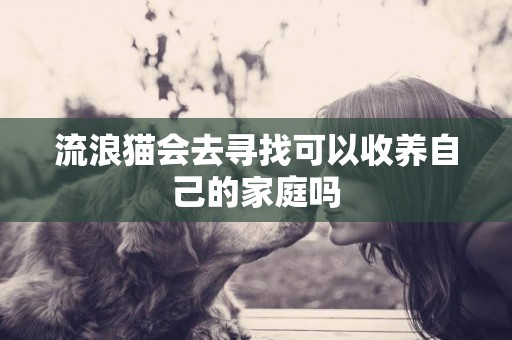 流浪貓會去尋找可以收養自己的家庭嗎