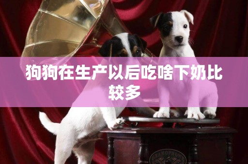 狗狗在生產以后吃啥下奶比較多