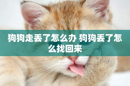 狗狗走丟了怎么辦 狗狗丟了怎么找回來