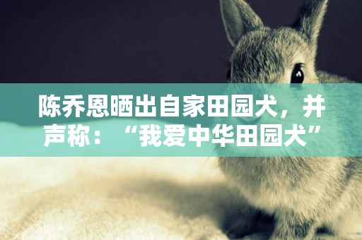 陳喬恩曬出自家田園犬，并聲稱：“我愛中華田園犬”