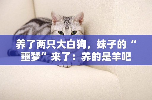 養了兩只大白狗，妹子的“噩夢”來了：養的是羊吧