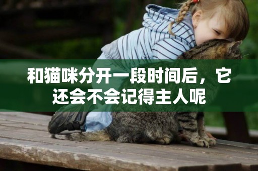 和貓咪分開一段時間后，它還會不會記得主人呢