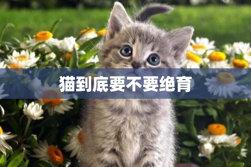 貓到底要不要絕育