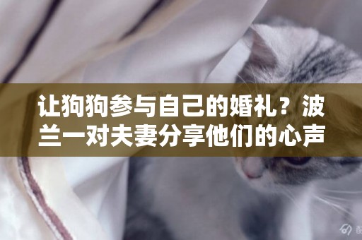 讓狗狗參與自己的婚禮？波蘭一對夫妻分享他們的心聲