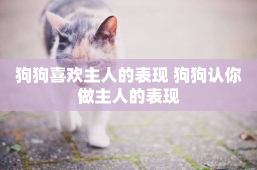 狗狗喜歡主人的表現 狗狗認你做主人的表現